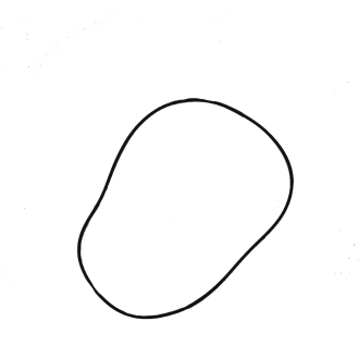 ORING 6511968X1Landini