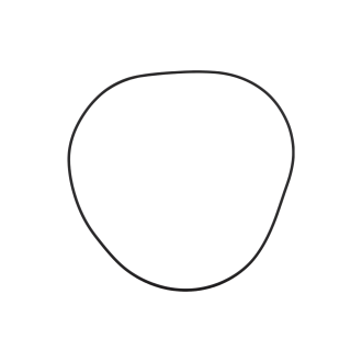 ORING 6511967X1 Landini